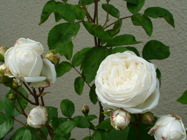 f0074659_22303899.jpg