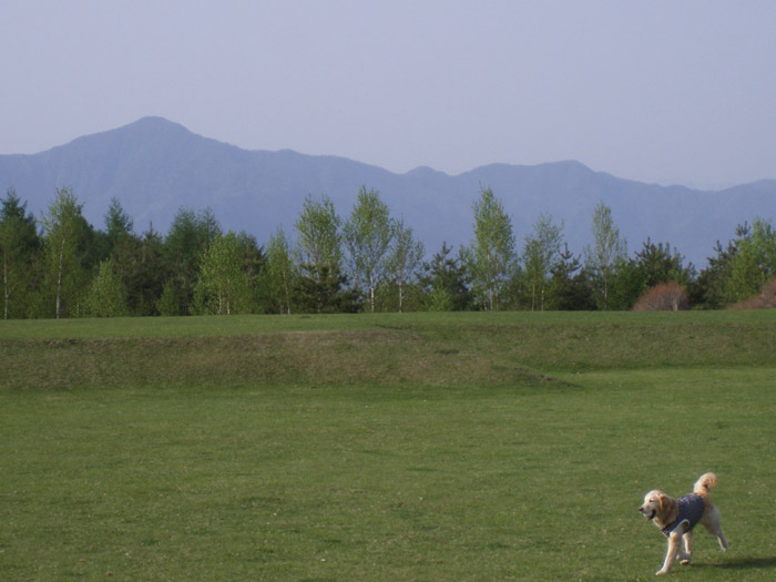c0110361_15395565.jpg
