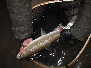 f0163063_2137443.jpg