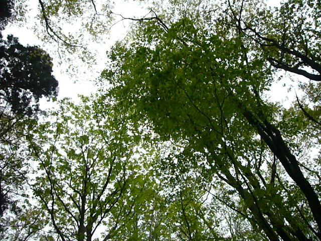 f0057565_18323878.jpg