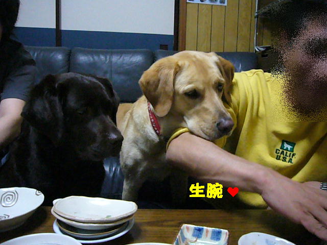f0057565_1850890.jpg
