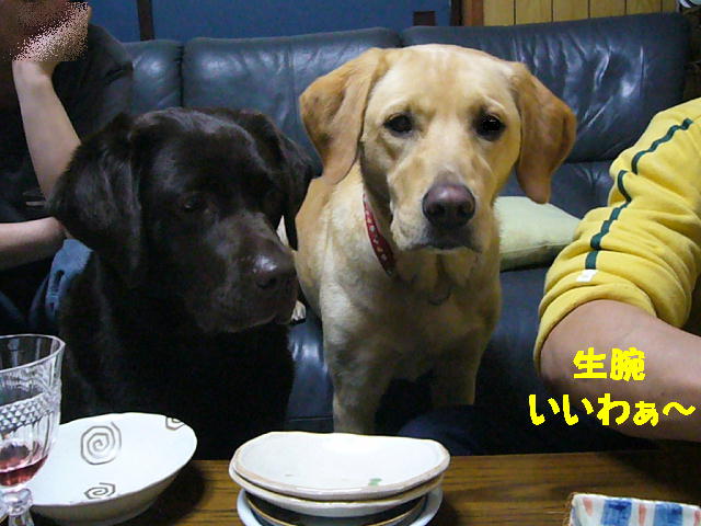 f0057565_18514197.jpg