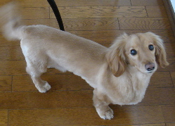 f0089568_23240100.jpg