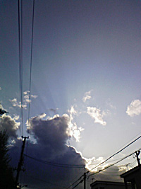 a0050669_1271276.jpg