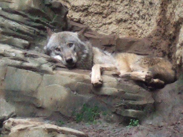 b0124969_3235492.jpg
