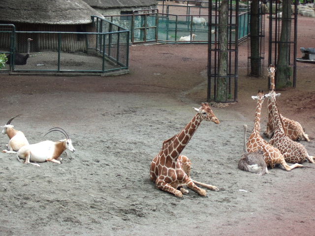 b0124969_3284569.jpg