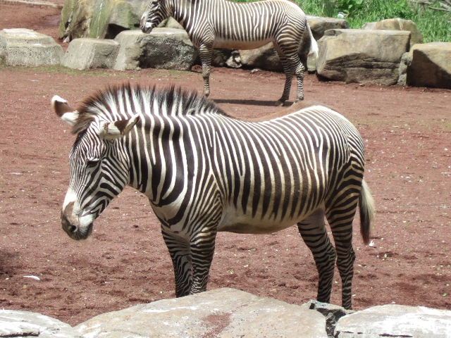 b0124969_3315924.jpg