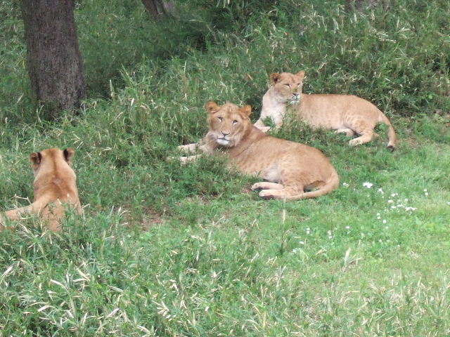 b0124969_3341227.jpg