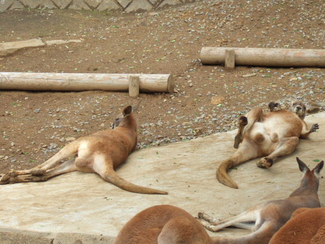 b0124969_39643.jpg