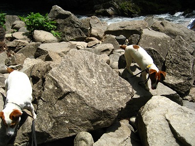 e0106372_10375467.jpg