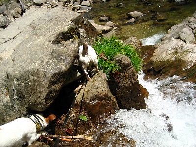 e0106372_10383755.jpg