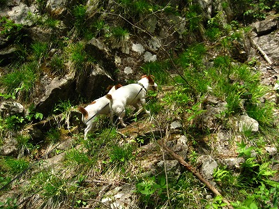 e0106372_1042101.jpg