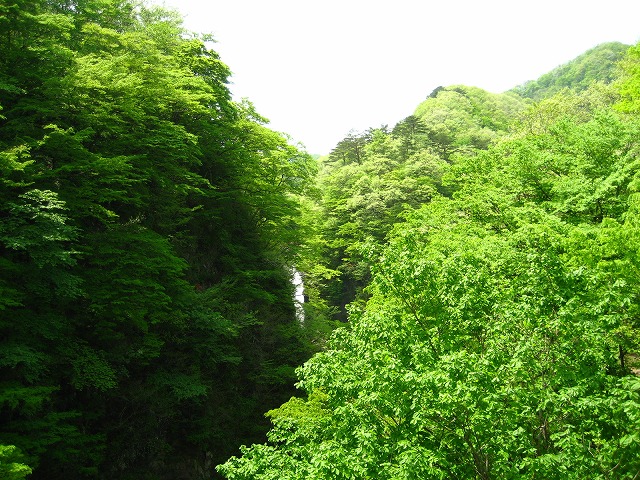 e0106372_10461857.jpg