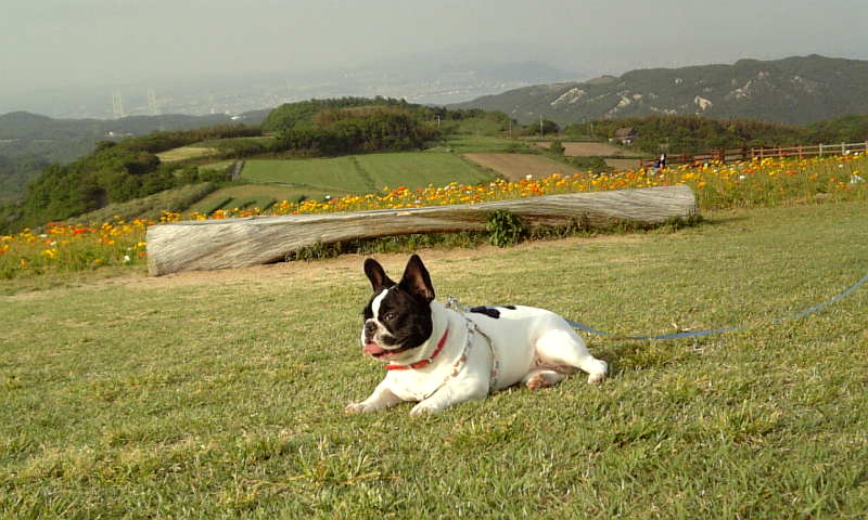 b0130273_23424140.jpg