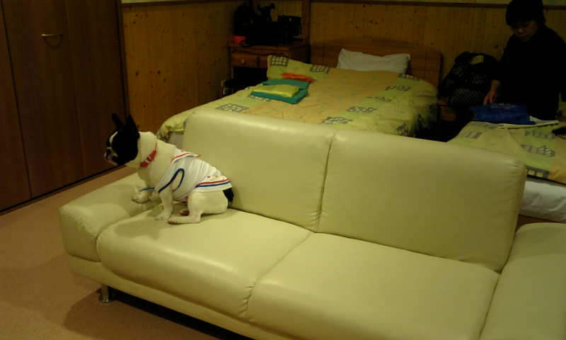 b0130273_23442869.jpg