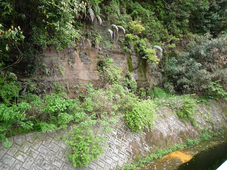 d0118074_2024141.jpg
