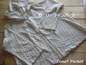 e0070074_17525171.jpg