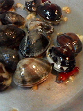 f0140174_0341746.jpg