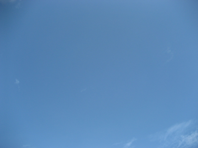b0117276_9515931.jpg