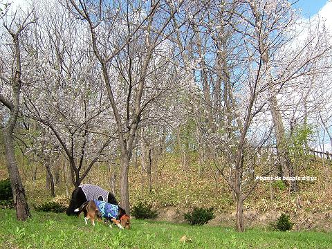 f0150377_1624562.jpg