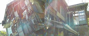 f0016981_04582.jpg
