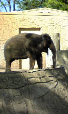 c0096582_12526100.jpg