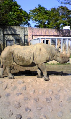 c0096582_1255977.jpg