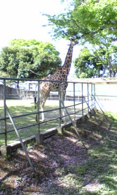 c0096582_125884.jpg