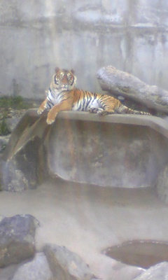 c0096582_1295177.jpg