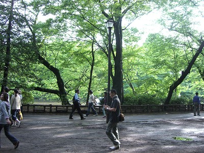 c0032583_032516.jpg