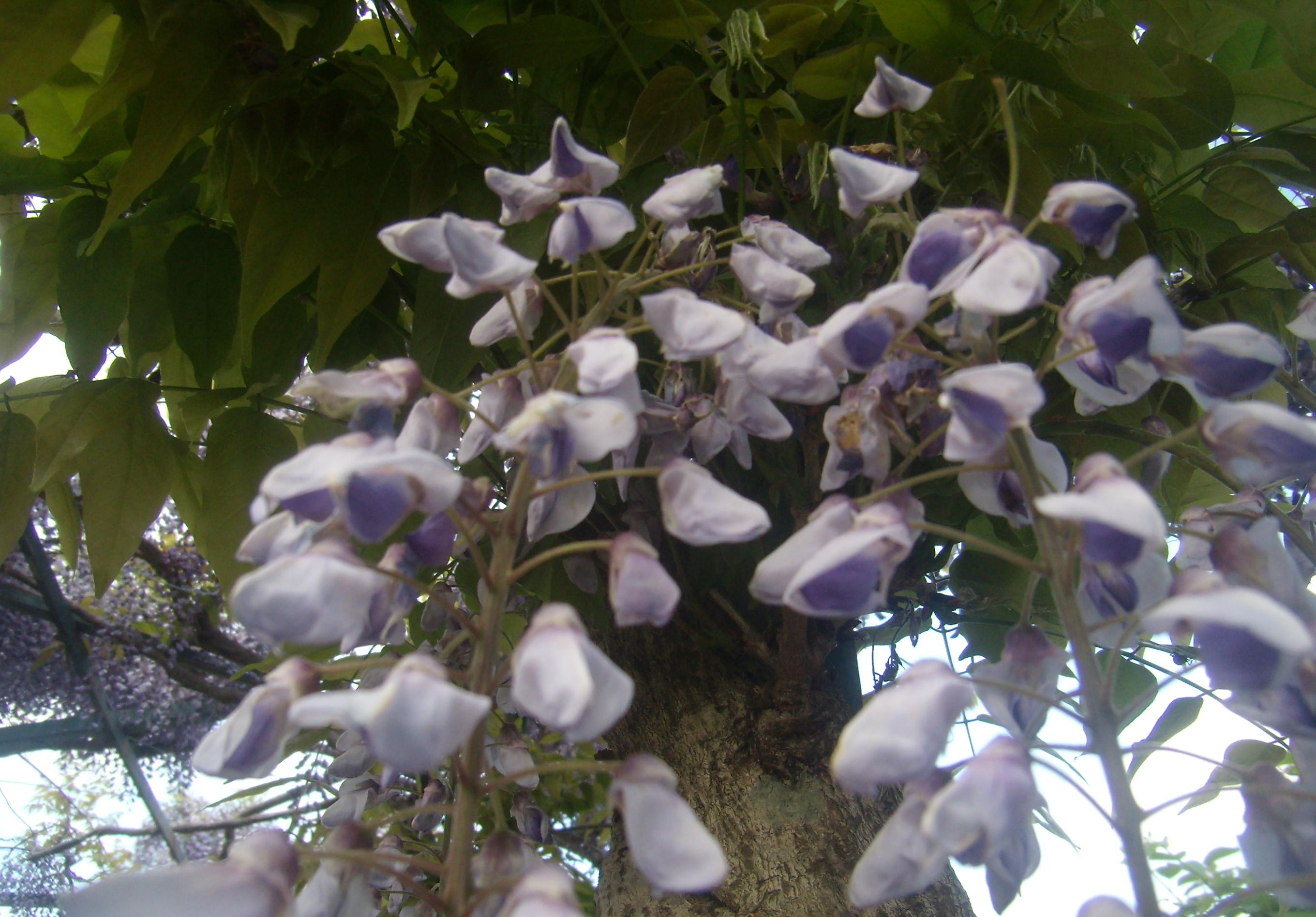 e0133087_22561266.jpg