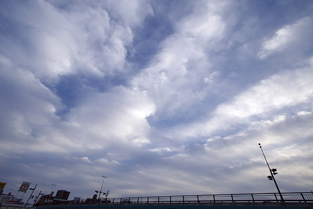 b0067789_21213547.jpg