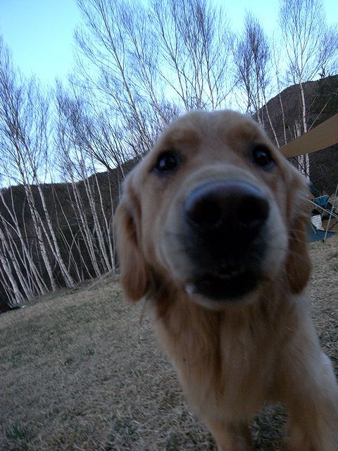 a0093592_7473977.jpg