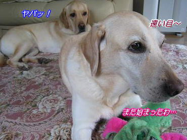 c0028792_22172147.jpg