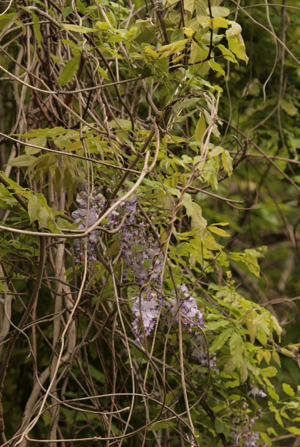 d0133693_1852574.jpg