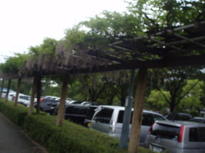 c0086895_022245.jpg