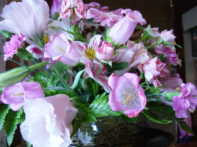 f0148098_1655151.jpg