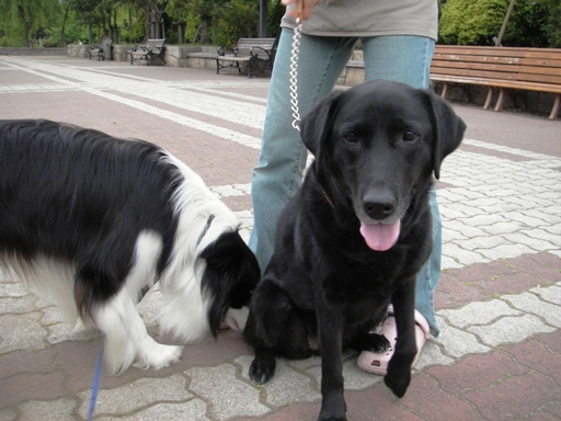 f0034602_18571145.jpg