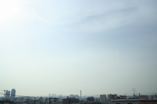 d0131006_2285487.jpg