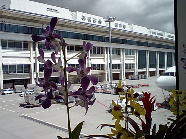 a0074110_151138.jpg