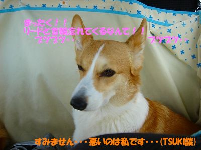c0153410_0335384.jpg