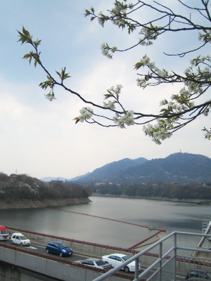 b0087512_22593758.jpg