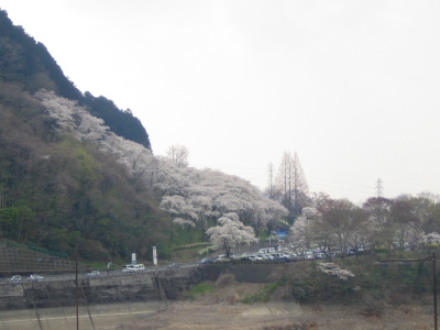 b0087512_232423.jpg