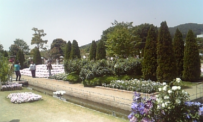 c0089719_0242377.jpg