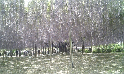 c0089719_0243637.jpg