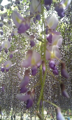 c0089719_024583.jpg