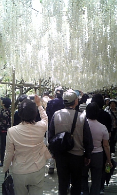 c0089719_02699.jpg