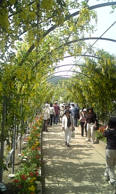 c0089719_0272649.jpg