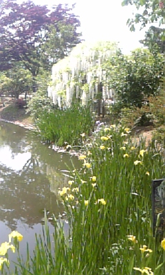 c0089719_0282739.jpg