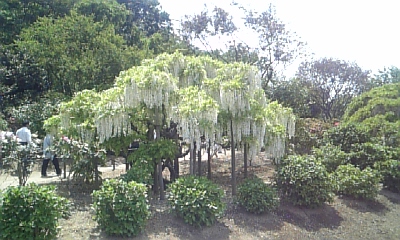 c0089719_0295374.jpg